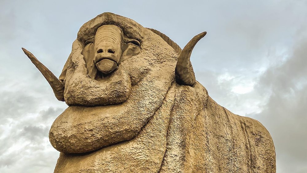 Marvel at The Big Merino’s towering height! Image Credits: @josiewanders