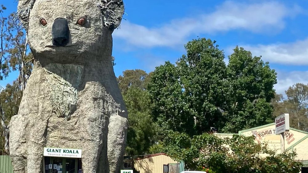  Look at the Giant Koala towering over the trees!  Image Credits: @artbyduff