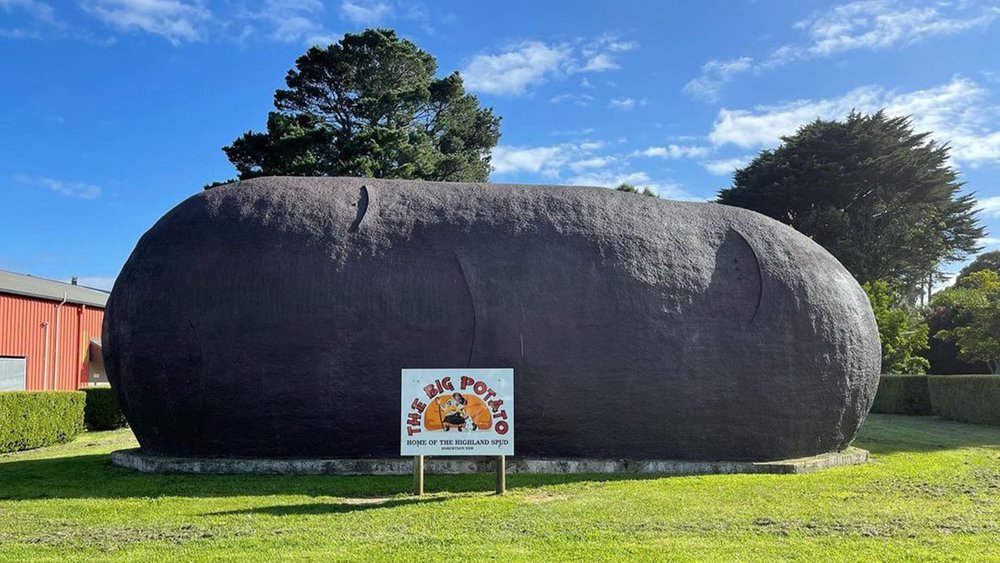 The Big ‘Tato in its home at Robertson, NSW. Image Credits: @syaptz