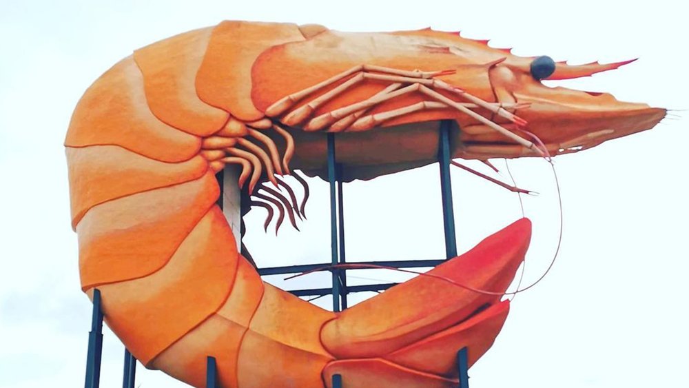Calling all prawn lovers! You’re gonna want to get a picture with this Big Prawn in Ballina! Image Credits: @stretched_lc79