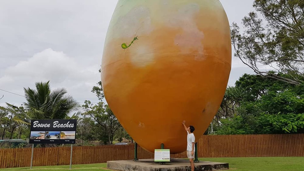 Check this off your bucket list by seeing The Big Mango up close.  Image Credits: @sangjin______