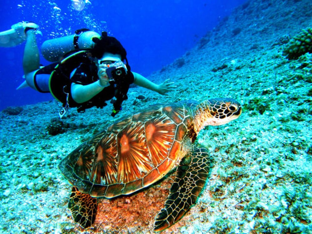 pulau perhentian scuba diving package