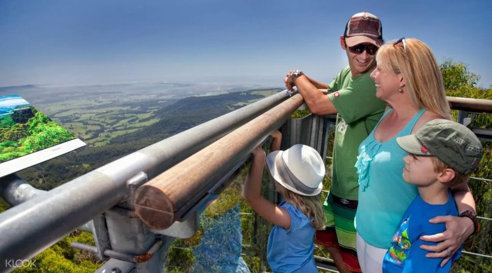 Illawarra Fly Treetops Walk