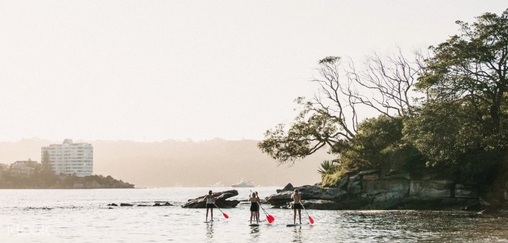 Paddleboarding in Manly