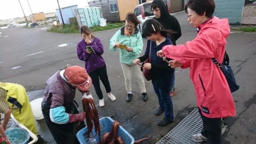octopus boiling hokkaido