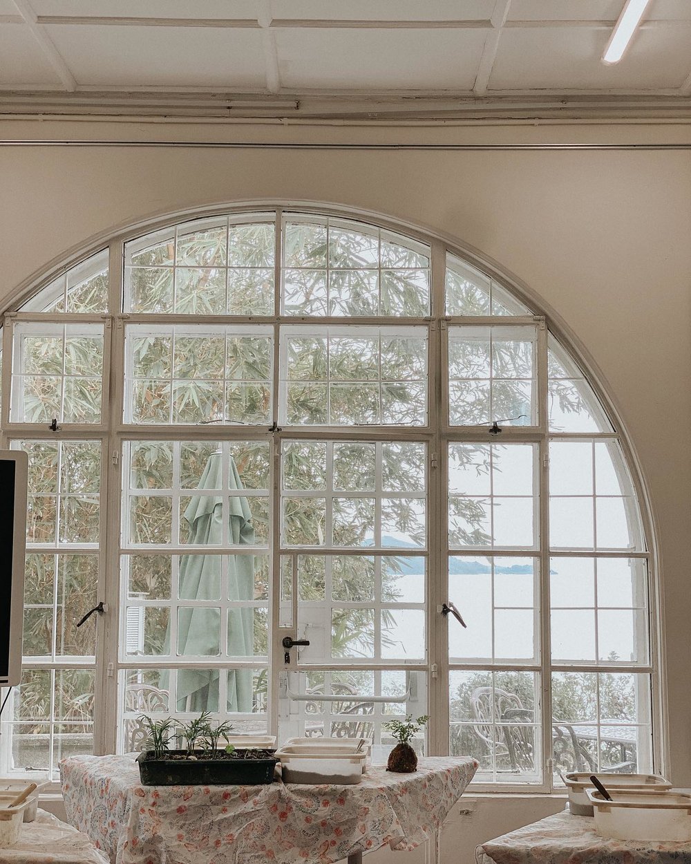 1440 園內不時舉辦工作坊,很受歡迎,建議提早在世界自然基金會的網頁內預訂。(Instagram @maxxthy)