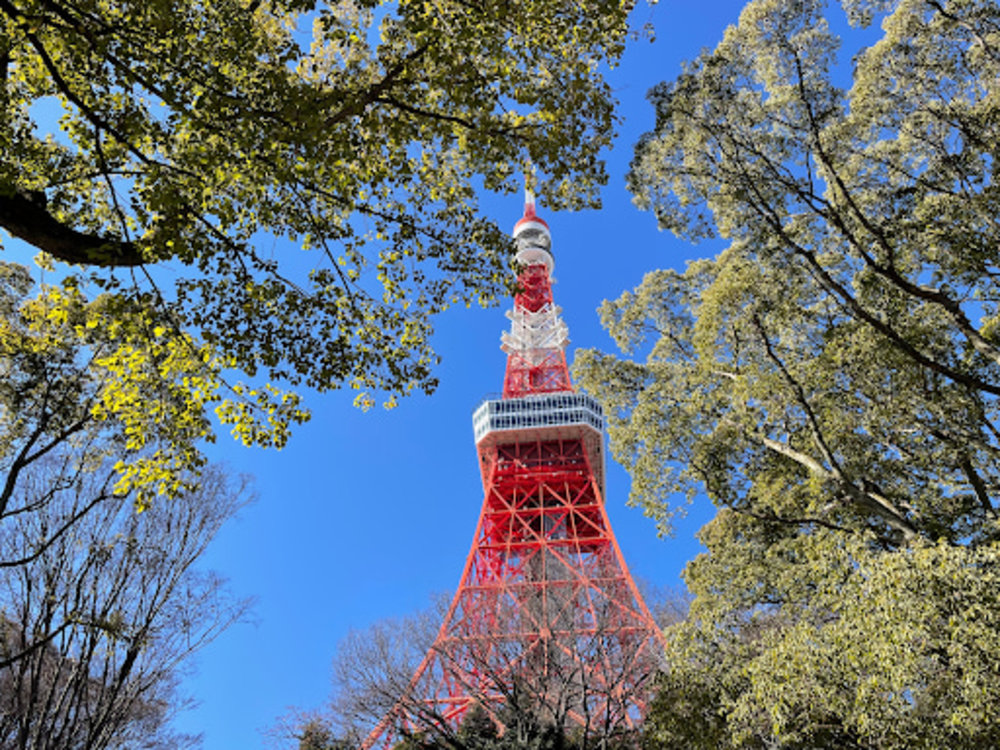 東京タワー 割引 jaf