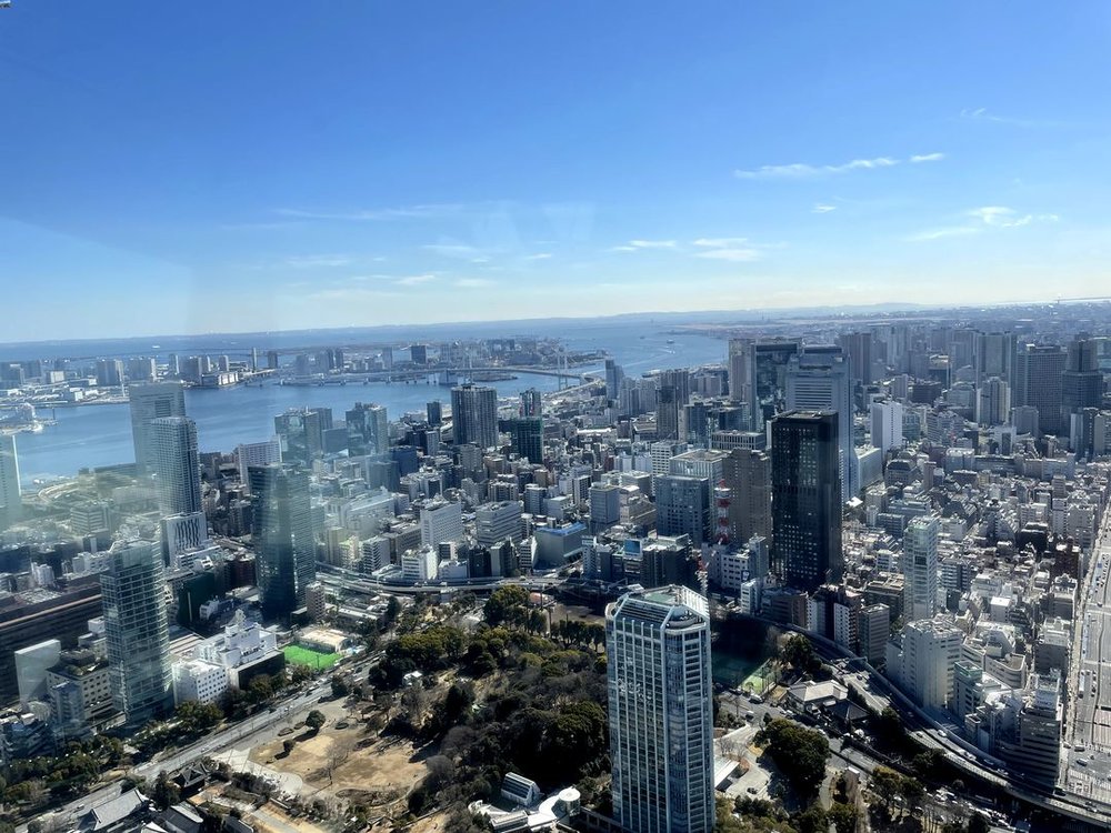 東京タワーのトップデッキからみた景色