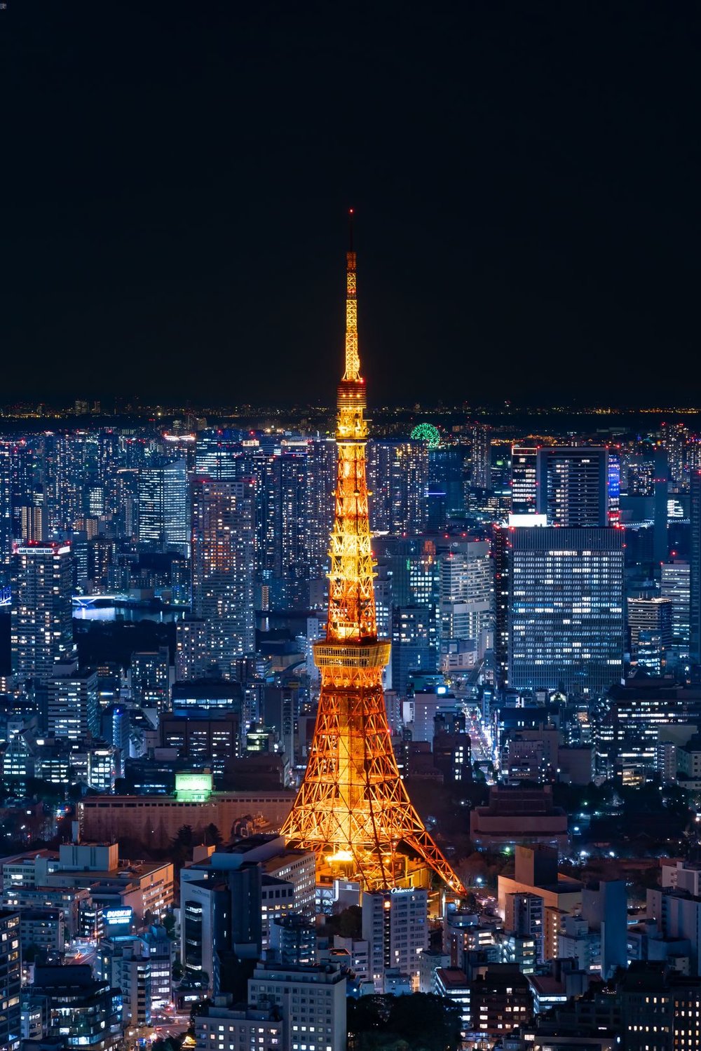 遠くから見た東京タワーの夜景 縦位置