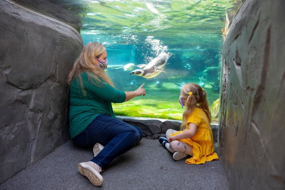 Image credits: @aquariumpacific