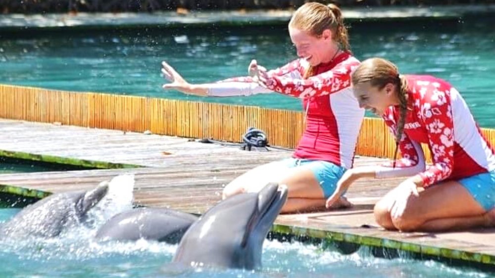 Delightful dolphins playing with their trainers at Flipper Lagoon. Image credits: @miamiseaquarium_