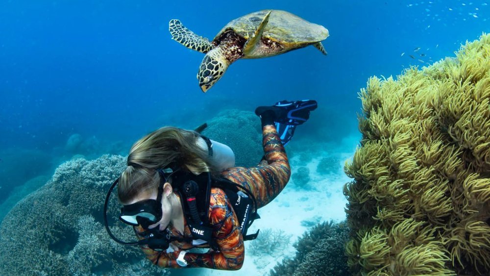 The Great Barrier Reef has a lot of colourful creatures in store for you. Credits: @dive_down_under