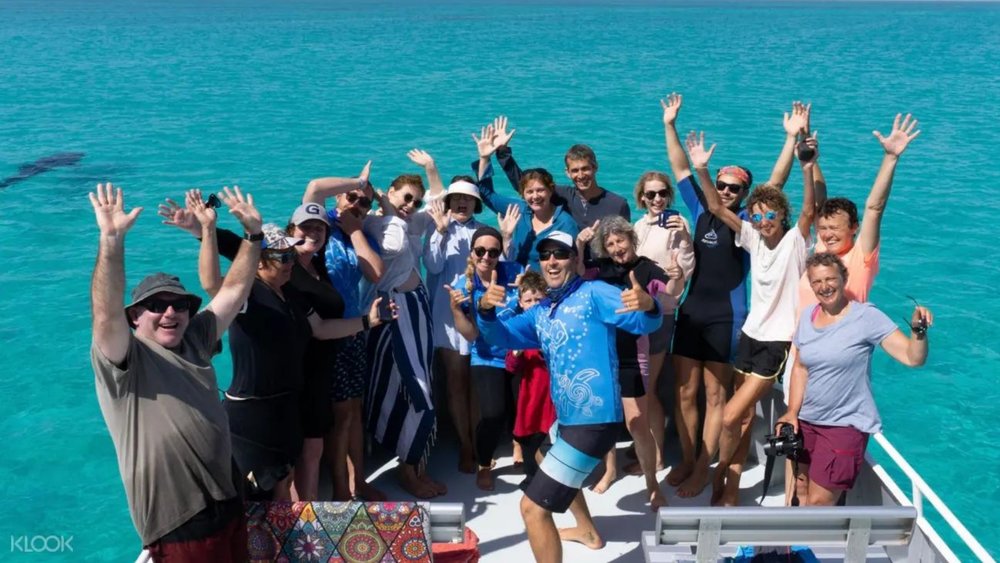 Round up the whole fam for an exciting whale watching cruise.