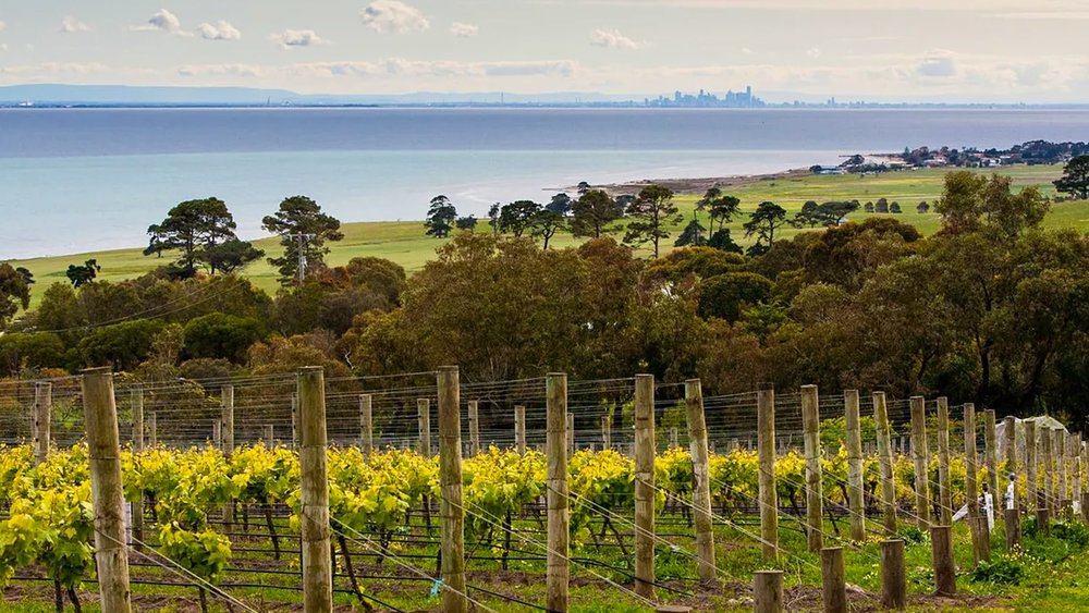 Feel the breeze at Geelong’s seaside wineries