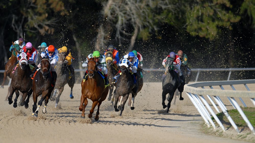 Discover one of Australia’s oldest traditions, the Melbourne Cup, which has been running for over 160 years. Credit: Jeff Griffith