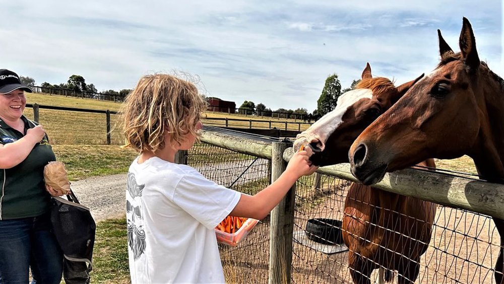 Feed and pet former champion horses at Living Legends. Credit:livinglegendsau