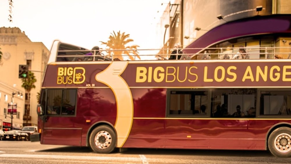 See all of LA on an open-top bus (but make sure to wear sun protection!