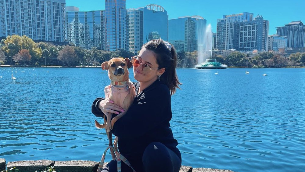 Watch out for the myriad of swans in the lake! Image credits @alexvassiliou on Instagram