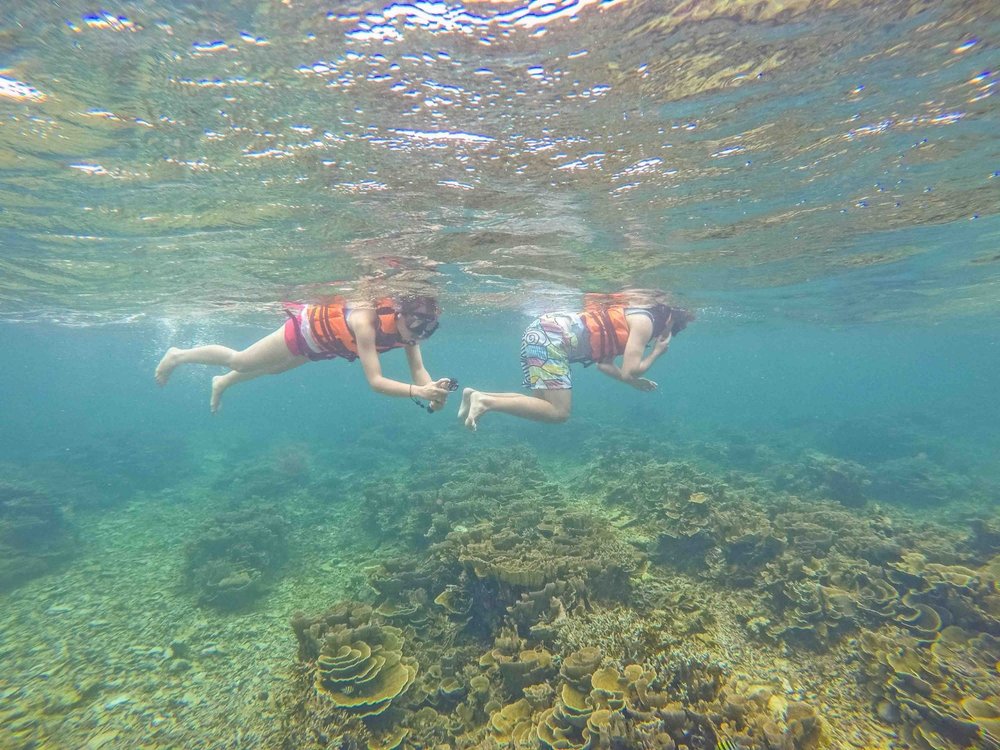 snorkeling in sabah
