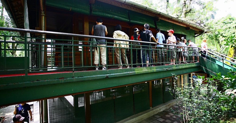 kien-truc-nha-san-bac-ho