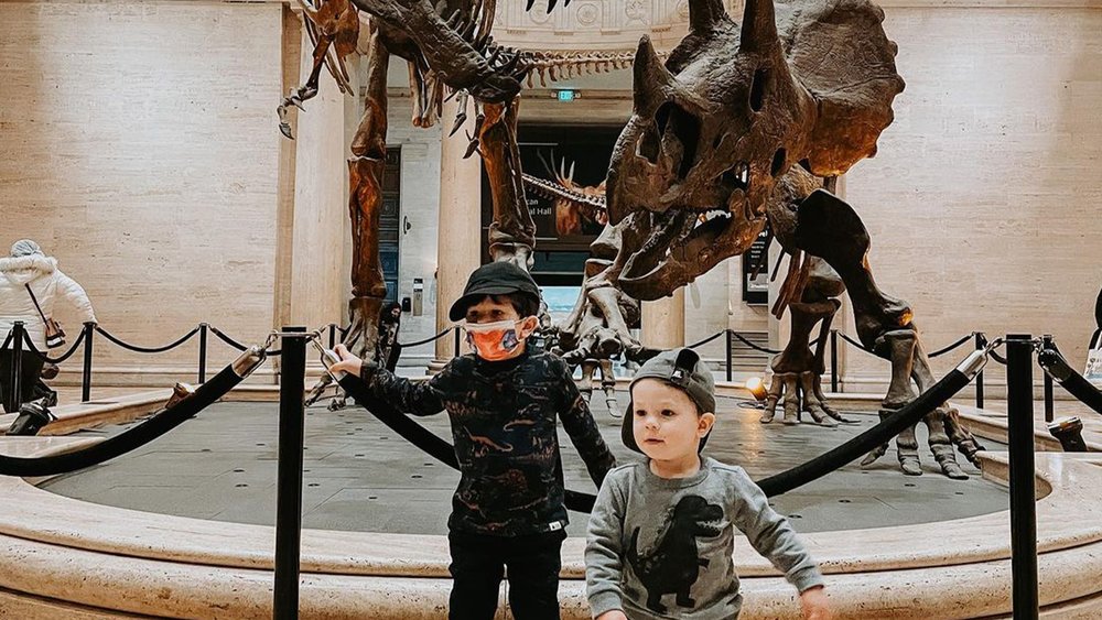 See artefacts as old as 4.5 billion years at the NHMLA. Credit: hansensonthehustle
