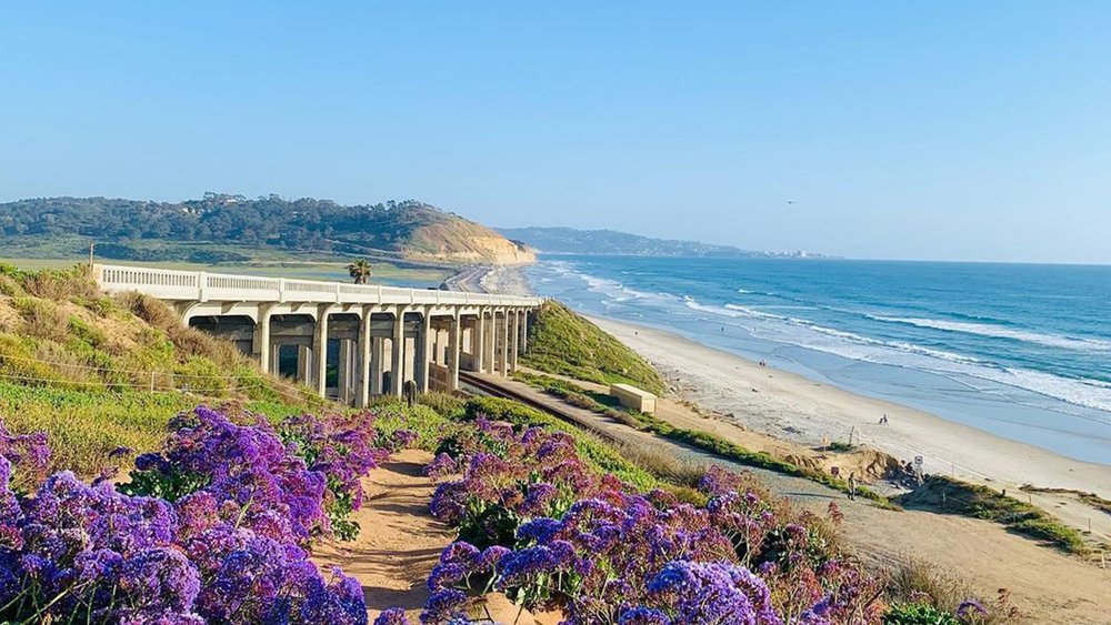 Drive by Del Mar to see dramatic cliffs, sandy beaches, and the Pacific Ocean. Credit: joaquinlopezluxuryrealtor 