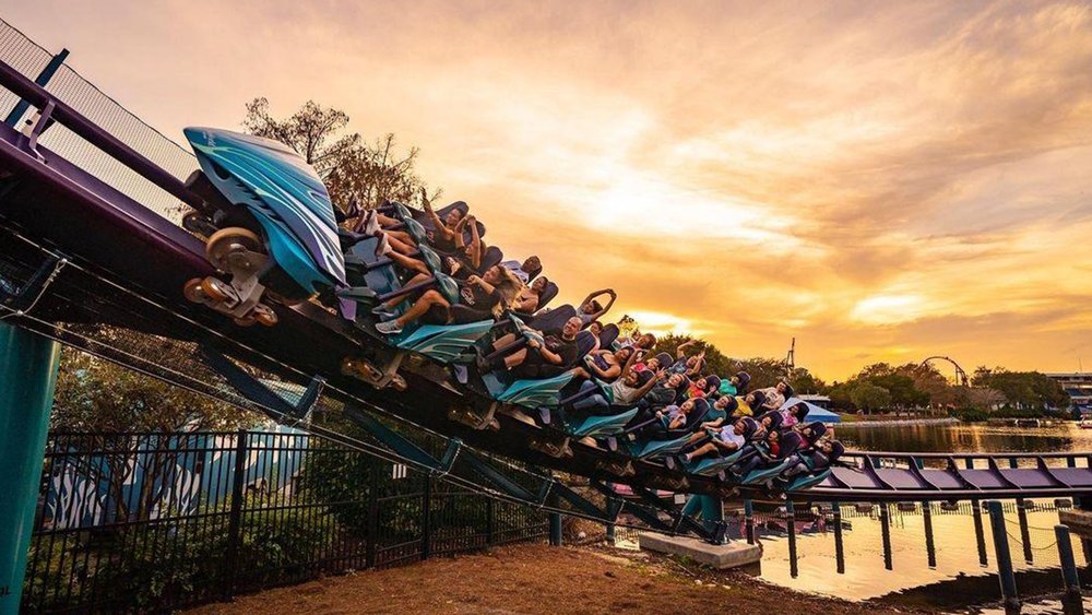 Feel the thrill when you ride the Manta which goes as fast as 90 km/h. Credit: nothingbutcoasters