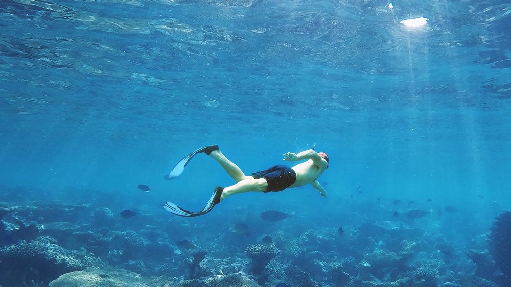 This 45-minute snorkelling experience is usually held at dusk for a unique experience. Image credits @raxxan on Unsplash