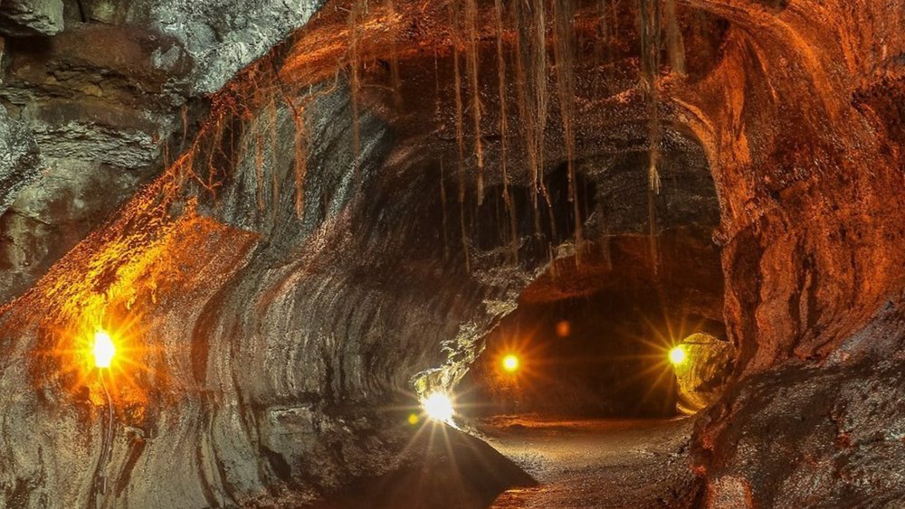 You can also find this lava tube in Hawaii Volcanoes National Park. Image credits @usa_holidays_direct on Instagram