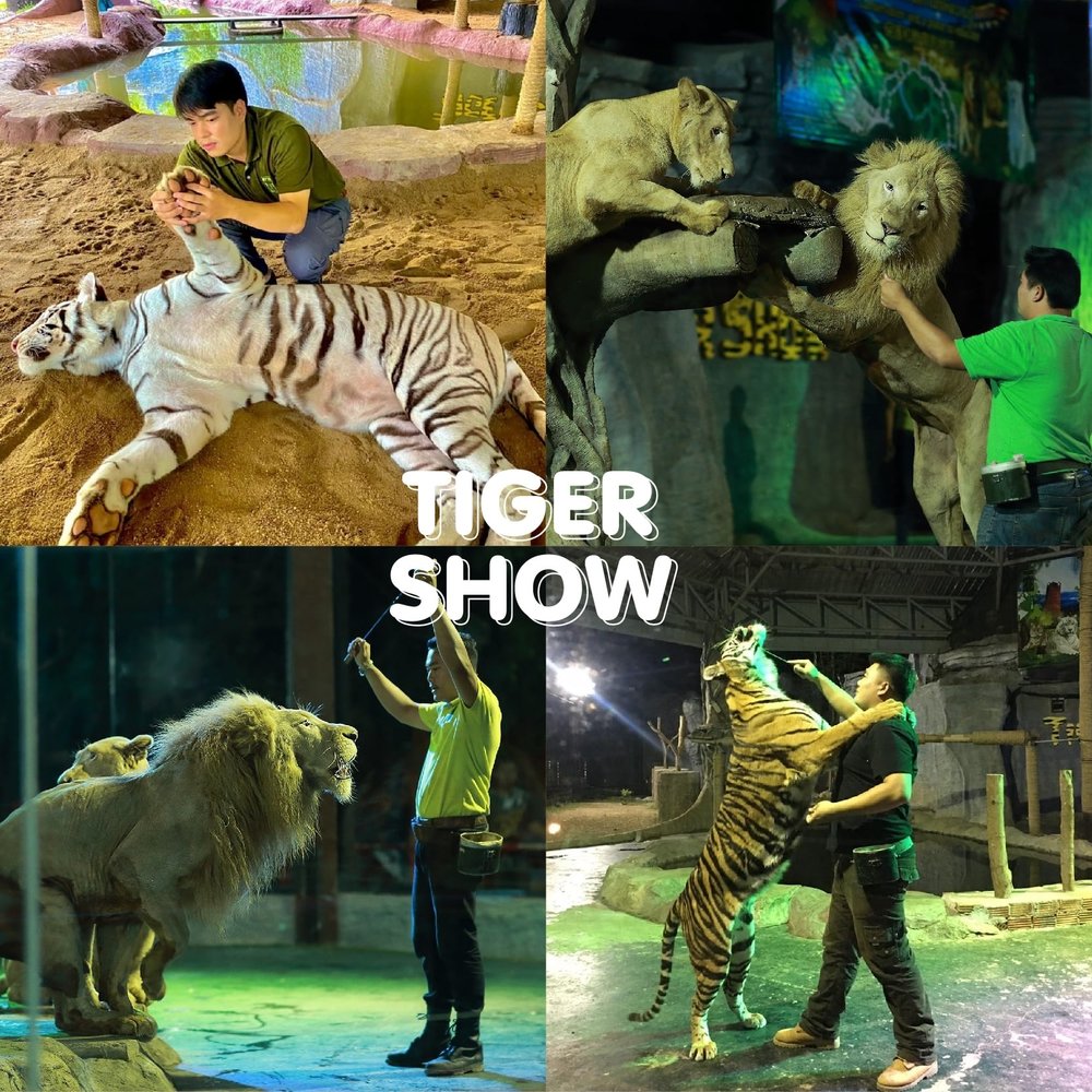 กิจกรรมเอ็กซ์คลูซีฟที่ เชียงใหม่ไนท์ซาฟารี