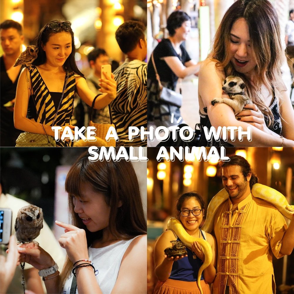 กิจกรรมเอ็กซ์คลูซีฟที่ เชียงใหม่ไนท์ซาฟารี 3