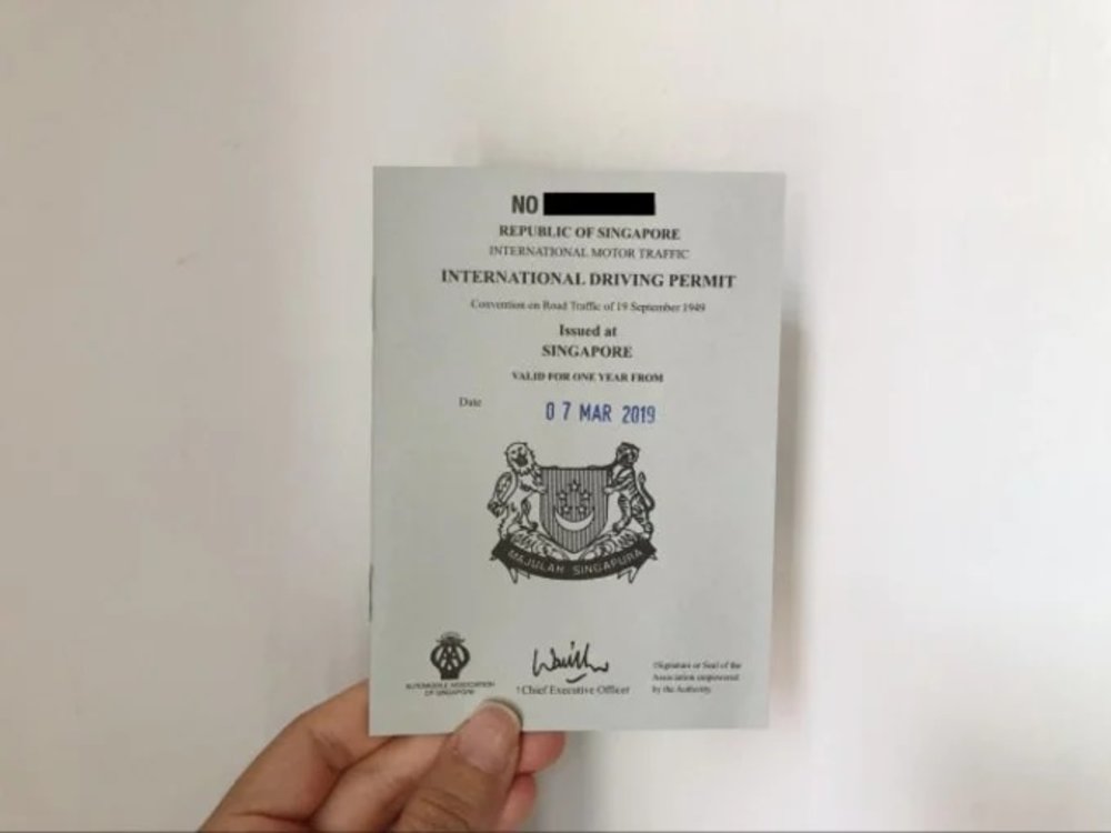 international drivers permit