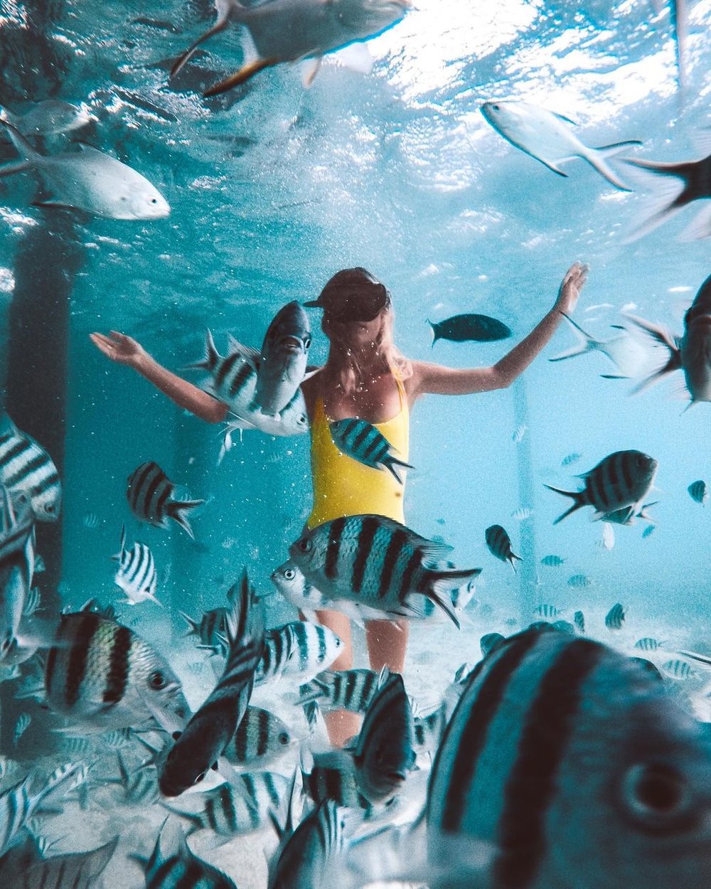 Pulau Rawa best snorkelling location in Malaysia