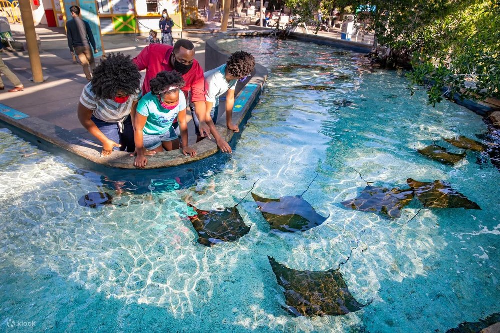 Thủy Cung Thái Bình Dương | Long Beach, California