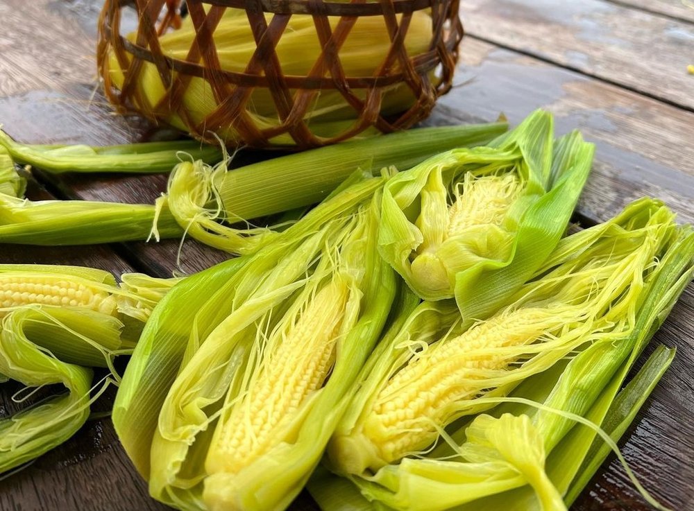 清水地熱谷煮玉米