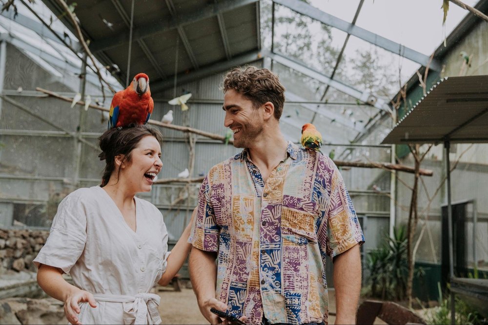 maleny garden and bird world