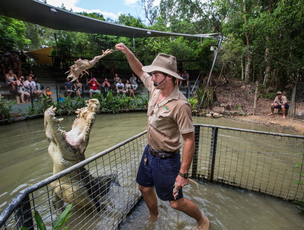 hartley's crocodile adventures park
