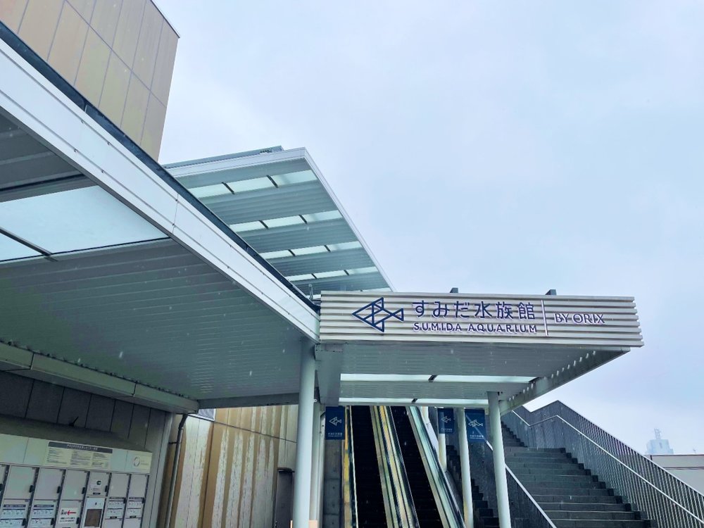 すみだ水族館へのエスカレーター