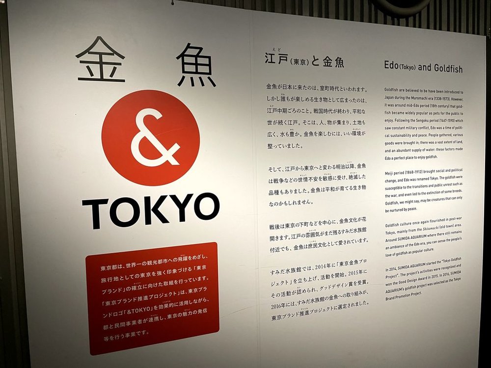 すみだ水族館の金魚と日本の歴史を説明したパネル