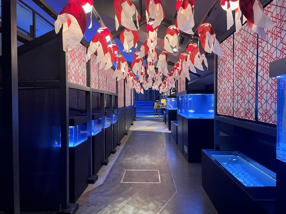 すみだ水族館の江戸リウム