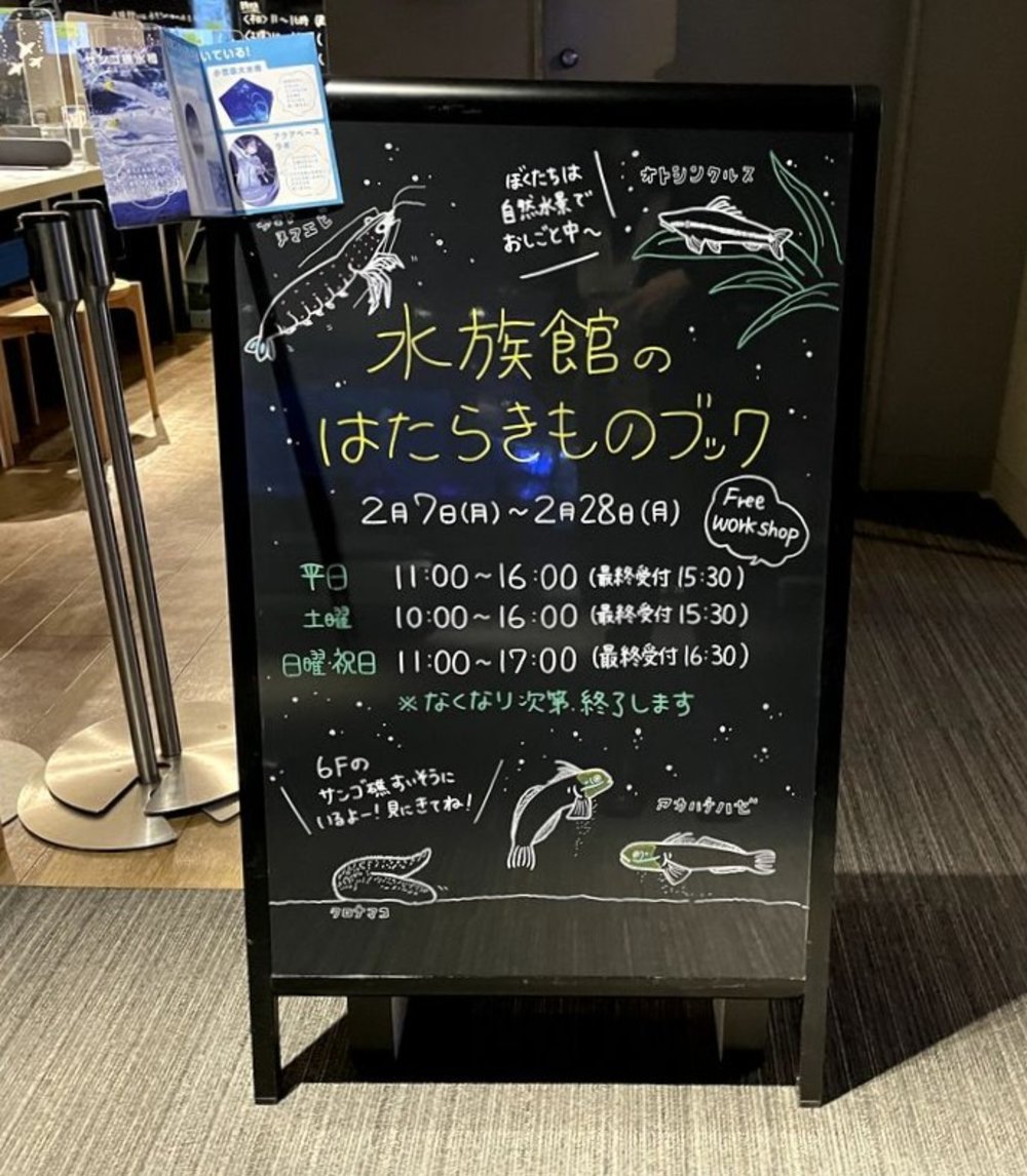 すみだ水族館の体験プログラムが書かれた黒板