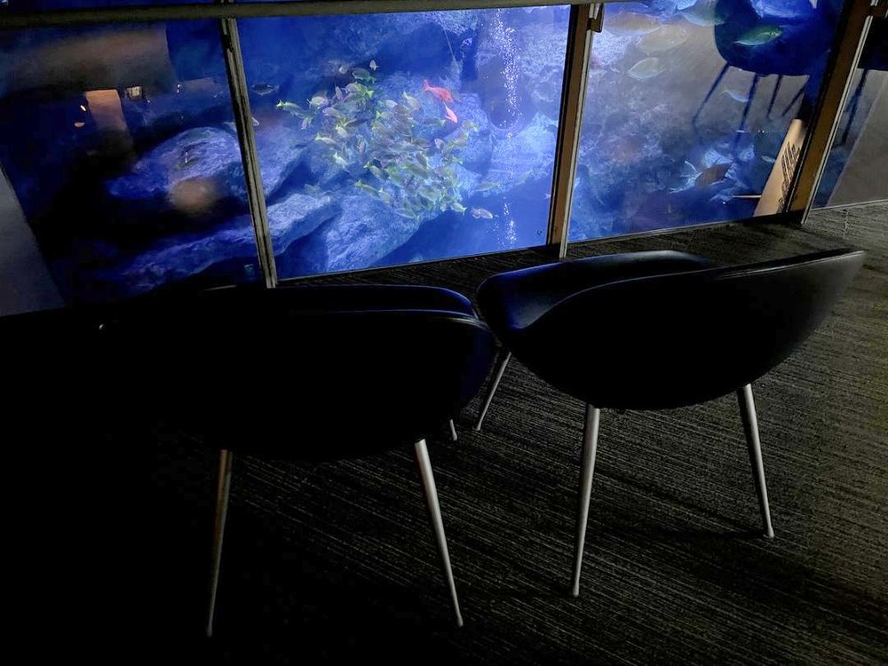 すみだ水族館の水槽の前に並ぶ椅子