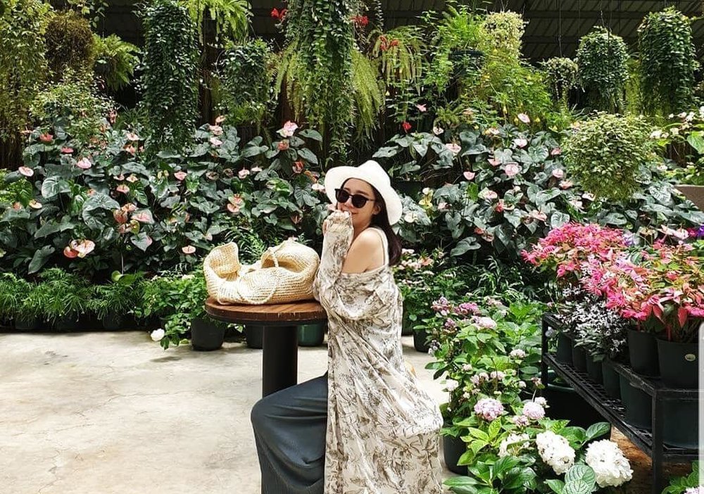 新竹繡球花景點:台灣花鳥園