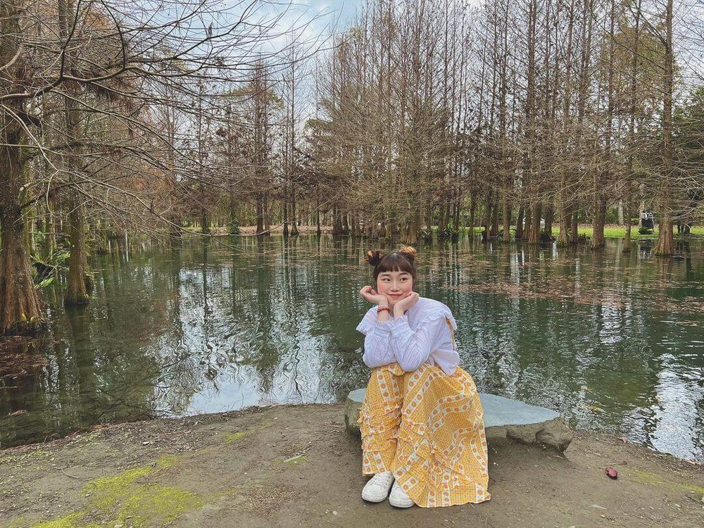 花蓮景點推薦:鈺展苗圃落羽松