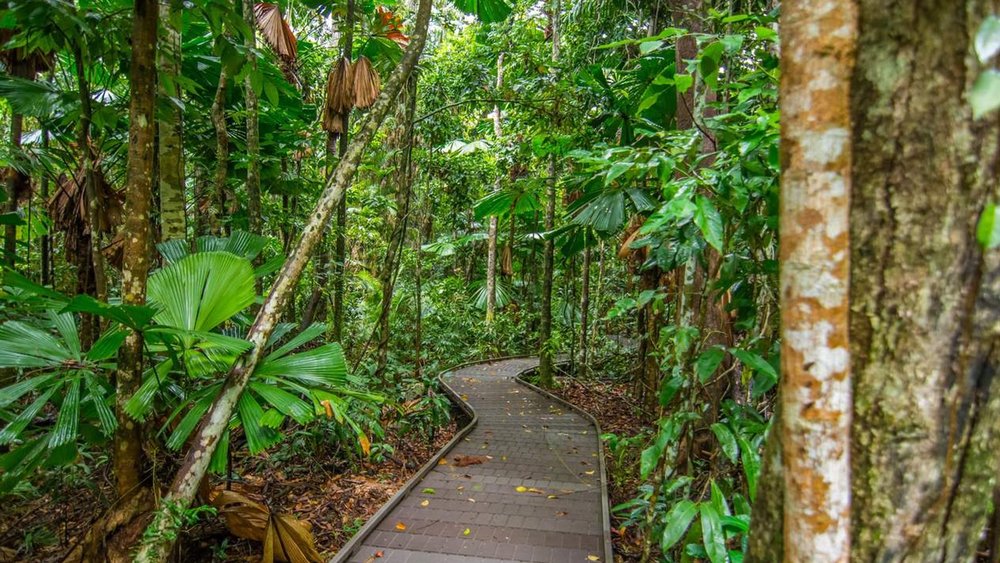 You’ll find Daintree Rainforest, one of the oldest surviving rainforests in the world, in this national park.