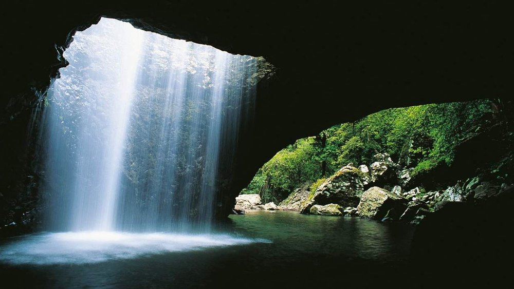 All of the waterfalls in this tour’s itinerary are found in the Gondwana World Heritage Rainforests.