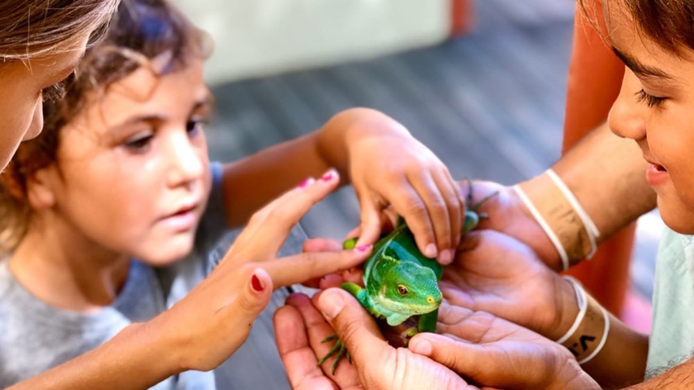 Interact with Fijian wildlife at the Kula Wild Adventure Park. Image Credits: @frugalforluxury
