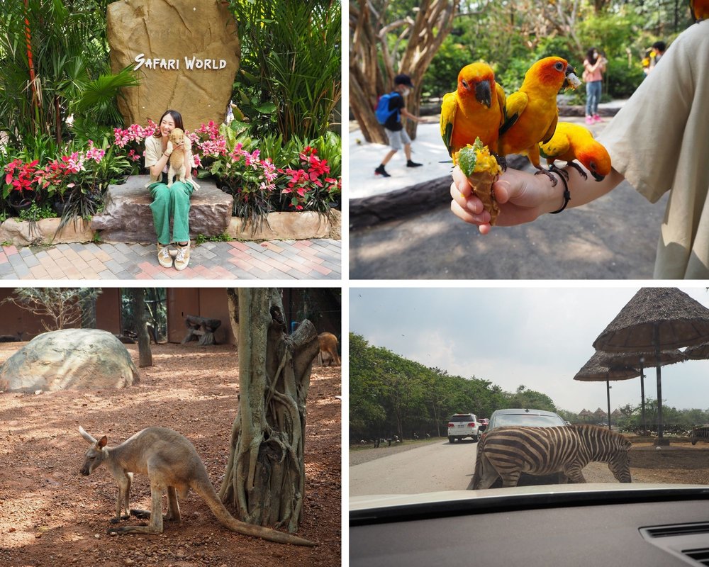 ซาฟารีเวิลด์ (Safari World)