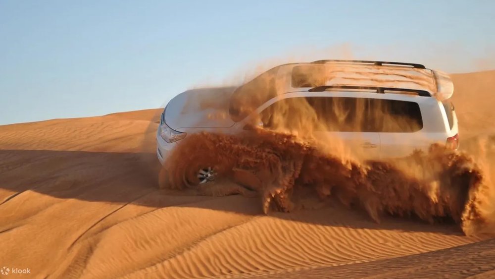 Go on an evening tour to discover the desert at sunset.