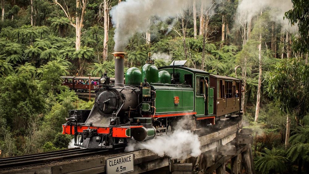 This scenic railway takes you through the rainforests of Dandenong Ranges. Image credits @puffingbillyrailway on Instagram